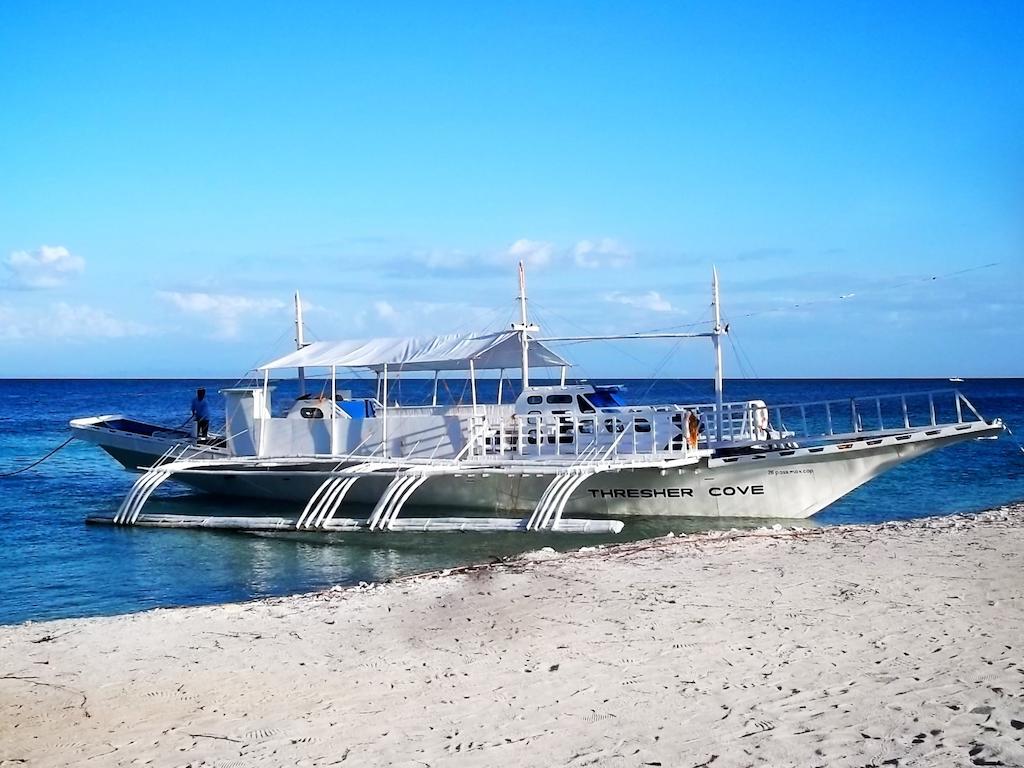 Thresher Cove Dive Resort Malapascua Eksteriør bilde
