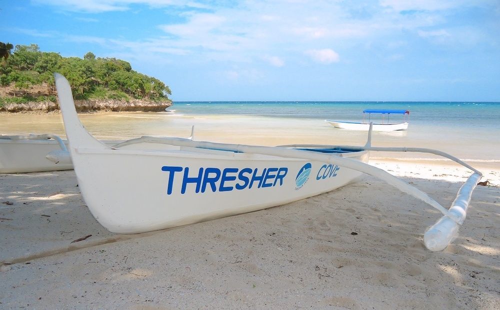 Thresher Cove Dive Resort Malapascua Eksteriør bilde